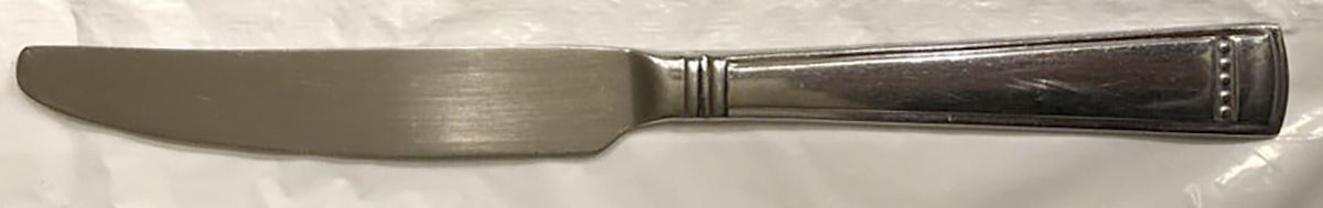 Bexley (Stainless) New French Solid Knife by Gibson-1