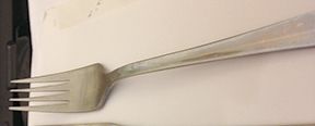 New Club (Stainless) Fork by Guy Degrenne-1