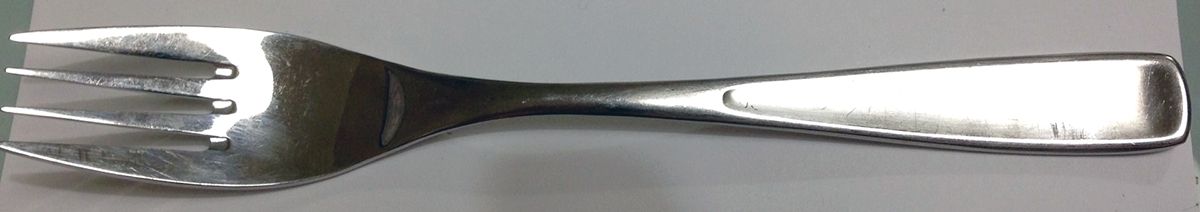 GF9 (Stainless) Fork by Grosvenor-1