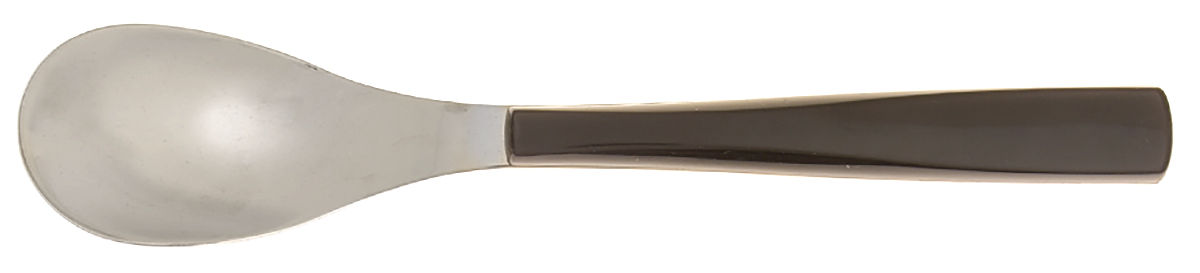 Quartz Carbon Black (Stainless) Teaspoon by Guy Degrenne-1