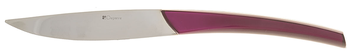 Quartz Amethyst (Stainless) Modern Solid Knife by Guy Degrenne-1