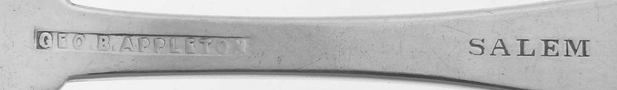 Coin Silver Flatware Teaspoon by George B Appleton-3