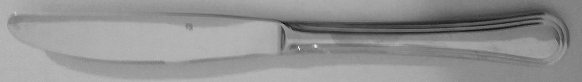Bistro (Stainless) Modern Solid Knife by Gourmet Settings-1