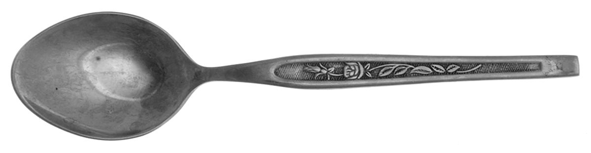 Crestmont (Stainless) Teaspoon by Hanford Forge-1