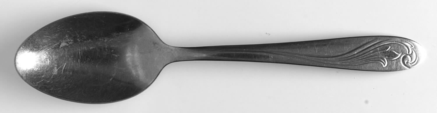 Candlewood (Stainless) Teaspoon by HB Co-1
