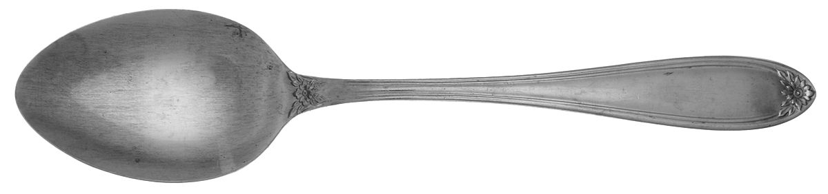 Fleurette (Stainless) Tablespoon (Serving Spoon) by Home Concepts-1