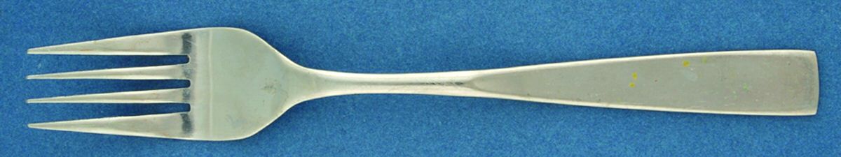 HCF4 (STAINLESS) Fork by Home Concepts-1