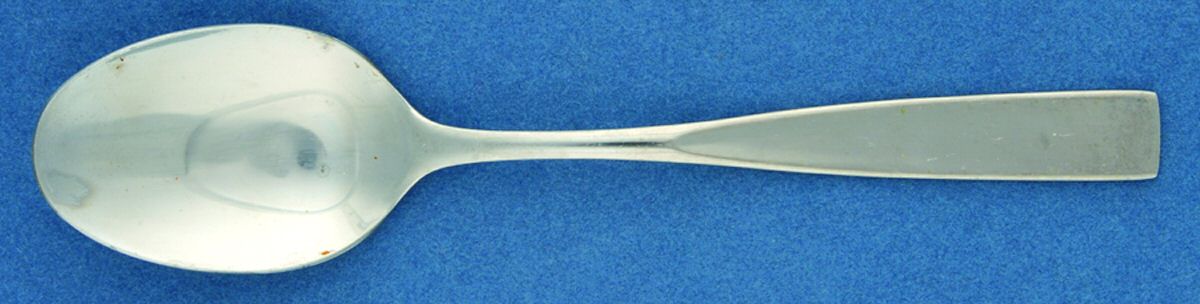 HCF4 (STAINLESS) Teaspoon by Home Concepts-1