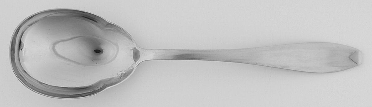 HOF1 (Stainless) Solid Smooth Casserole Spoon by Hoffritz-1