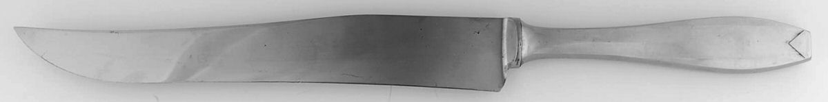 HOF1 (Stainless) Large Stainless Blade Roast Carving Knife by Hoffritz-1