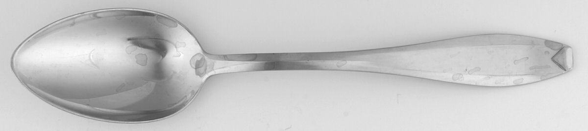 HOF1 (Stainless) Tablespoon (Serving Spoon) by Hoffritz-1