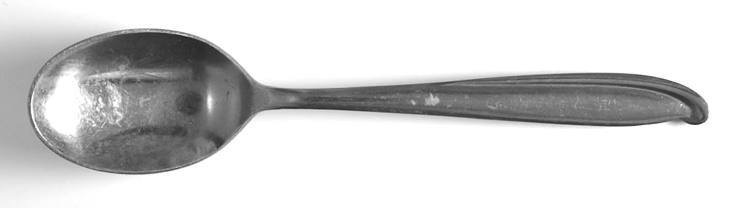 Young Hope (Stainless) Teaspoon by Heritage China-1