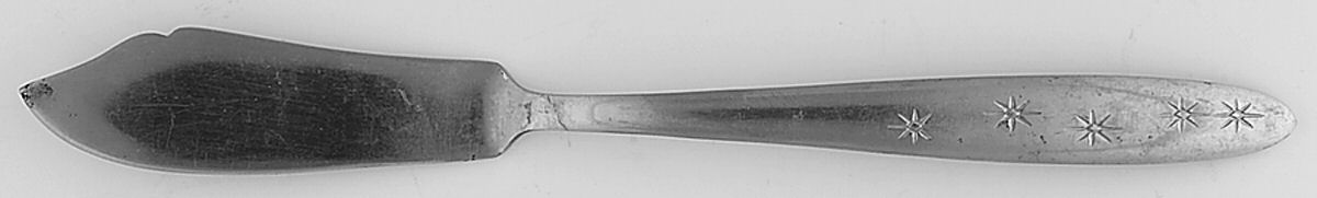 Enchanted Star (Stainless) Flat Handle Master Butter Knife by Hull-1