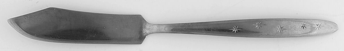 Enchanted Star (Stainless) Flat Handle Master Butter Knife by Hull-1