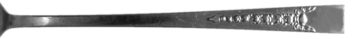 Gata (Stainless) Iced Tea Spoon by Hull-1