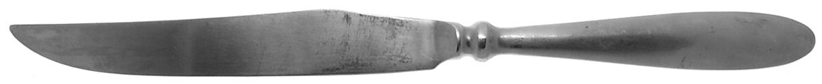 Bistro (Stainless) Large Stainless Blade Roast Carving Knife by Hampton Silversmiths-1