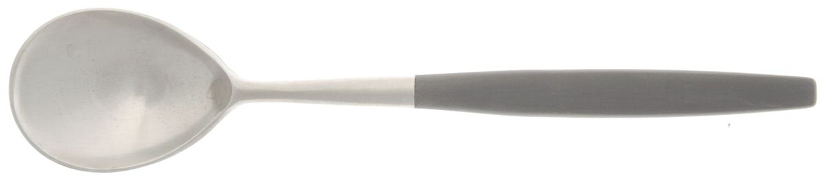 Lion-Black (Stainless) Teaspoon by Hackman-1