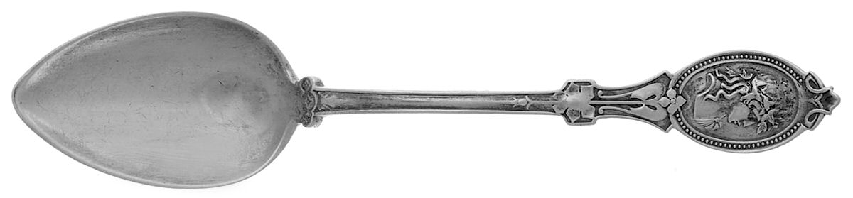 Medallion (STERLING, 1867) Teaspoon by Hotchkiss & Schreuder-1