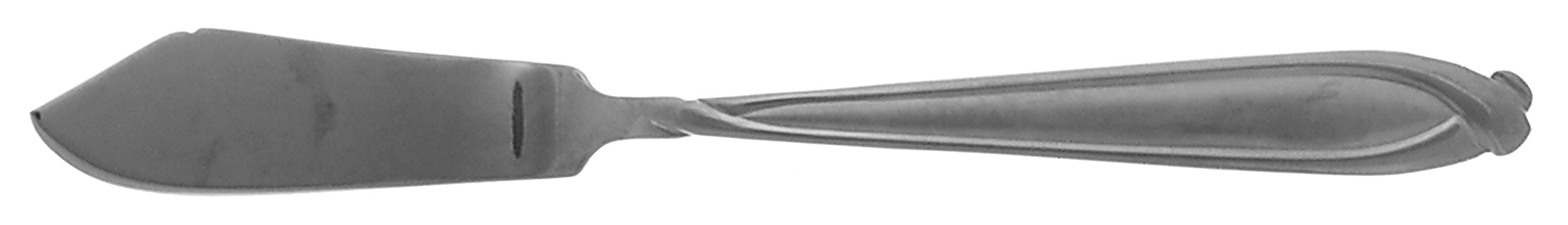 Concorde (Stainless) Flat Handle Master Butter Knife by Hampton Silversmiths-1