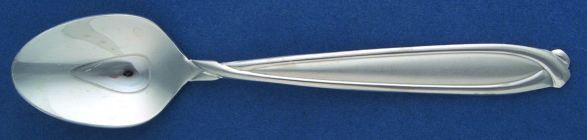 Concorde (Stainless) Place/Oval Soup Spoon by Hampton Silversmiths-1