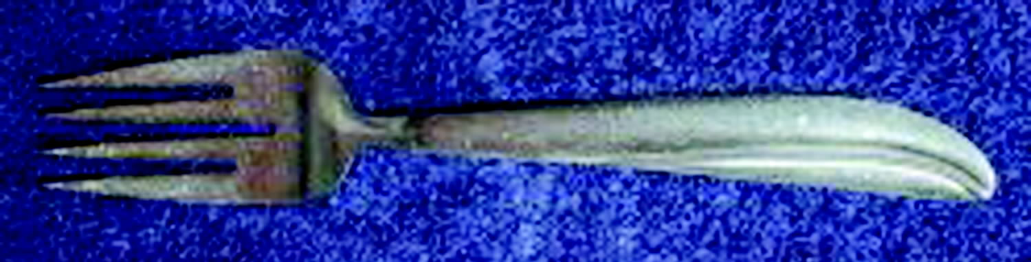 HUS20 (STAINLESS) Individual Salad Fork by Hull-1