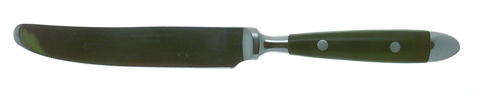 Bistro-Green New French Solid Knife by Hampton Silversmiths-1