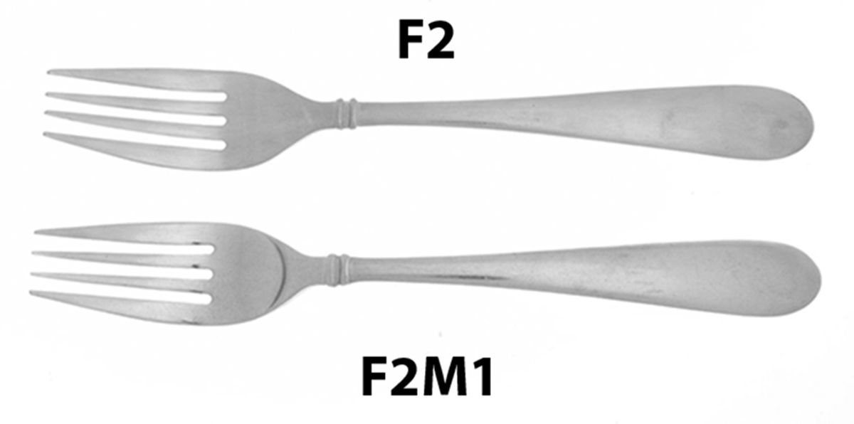 Concierto (Stainless) Fork by Hampton Silversmiths-1