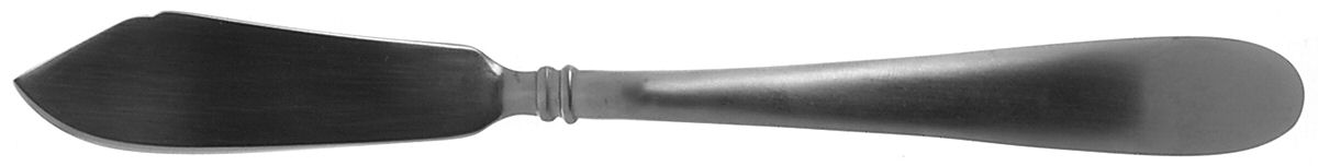 Concierto (Stainless) Flat Handle Master Butter Knife by Hampton Silversmiths-1