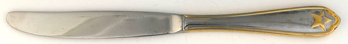 HSV23 (STAINLESS) Modern Solid Knife by Hampton Silversmiths-1