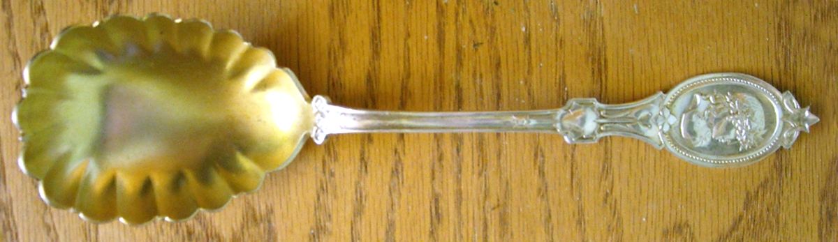 Medallion (Coin) Large Solid Berry/Casserole Spoon by Hotchkiss & Schreuder-1