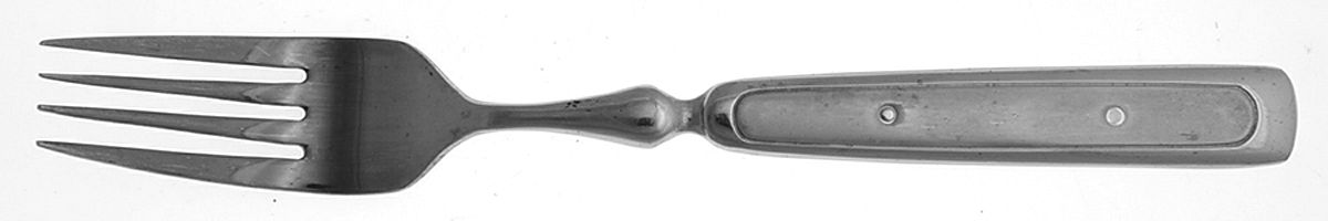 Fiero-Frosted (Stainless) Fork by Hampton Silversmiths-1