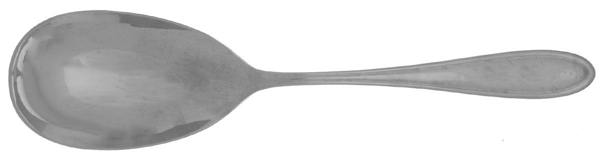 Gourmet (Stainless) Solid Serving Spoon by Hampton Silversmiths-1