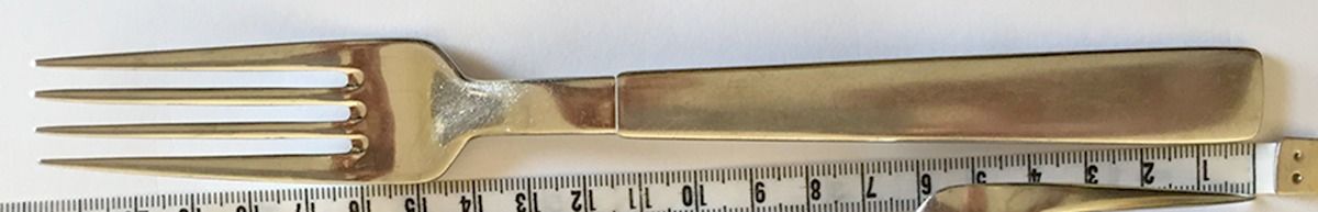 Pavo (Stainless) Fork by J A Henckels (Zwilling)-1
