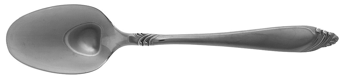 Passione (Stainless) Teaspoon by J A Henckels (Zwilling)-1