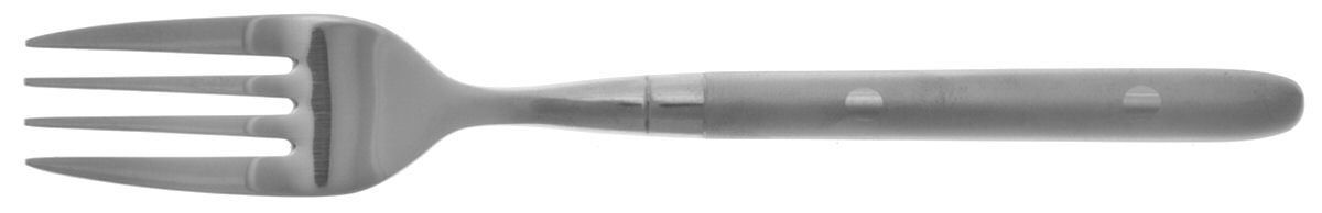 Cassidy Frosted (Stainless) Individual Salad Fork by Hampton Silversmiths-1
