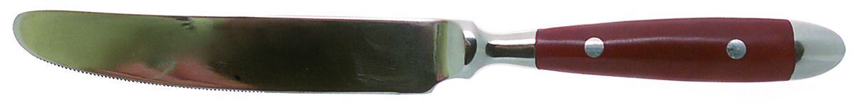 Bistro-Brick Red (Stainless) New French Solid Knife by Hampton Silversmiths-1