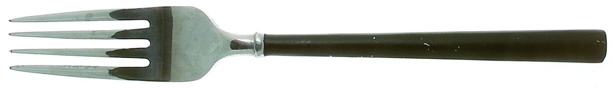 Carrara Enamel-Black (Stainless) Fork by Hampton Silversmiths-1