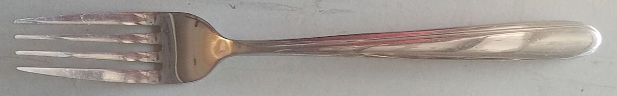 HSV113 (Stainless) Fork by Hampton Silversmiths-1