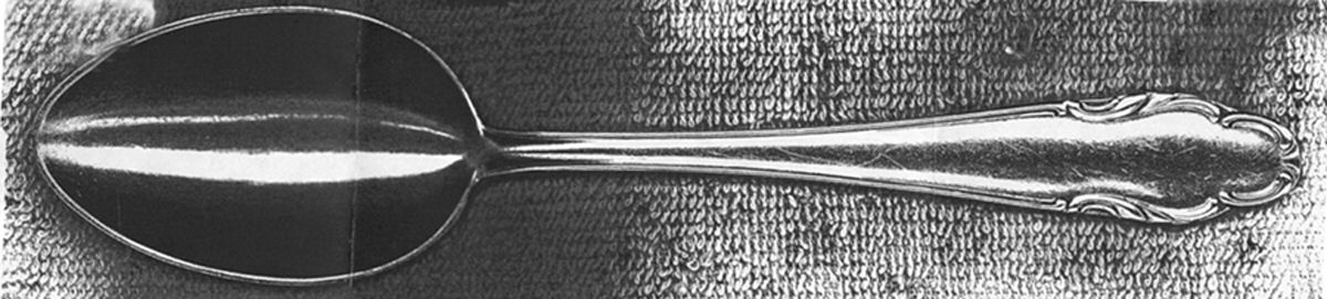 HFL4 (Silverplate) Tablespoon (Serving Spoon) by Homag-1