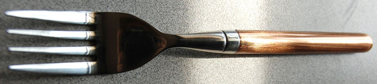 HSV120 (Stainless) Fork by Hampton Silversmiths-1