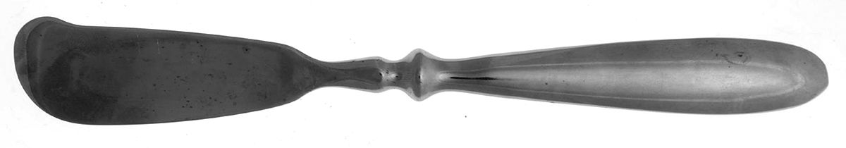 Bistro Mirror (Stainless) Solid Cheese Spreader by Hampton Silversmiths-1