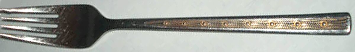 HZG1 (Stainless) Fork by Hoogosil-1