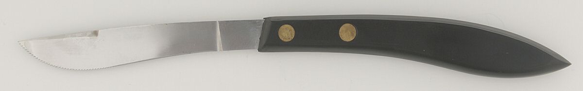 HUS24 (Stainless) Individual Steak Knife Hollow Handle by Hull-1
