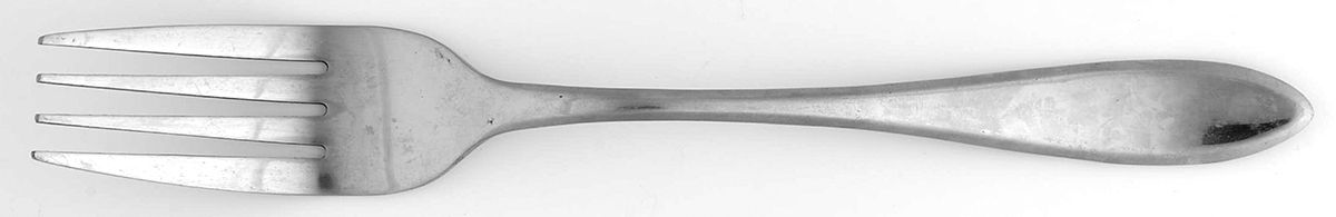 HSV150 (Stainless) Fork by Hampton Silversmiths-1