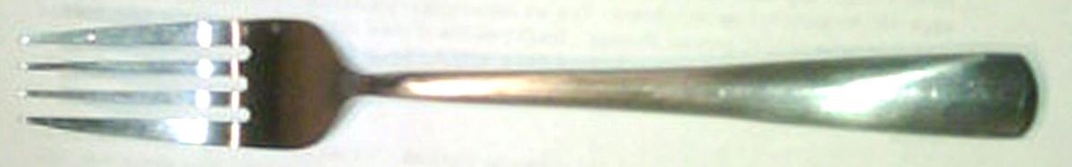 HSV151 (Stainless) Fork by Hampton Silversmiths-1