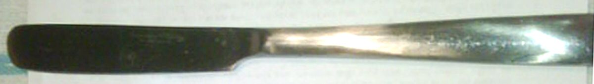 HSV151 (Stainless) New French Solid Knife by Hampton Silversmiths-1