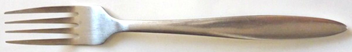 HSV153 (Stainless) Fork by Hampton Silversmiths-1