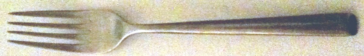 HSV157 (Stainless) Fork by Hampton Silversmiths-1