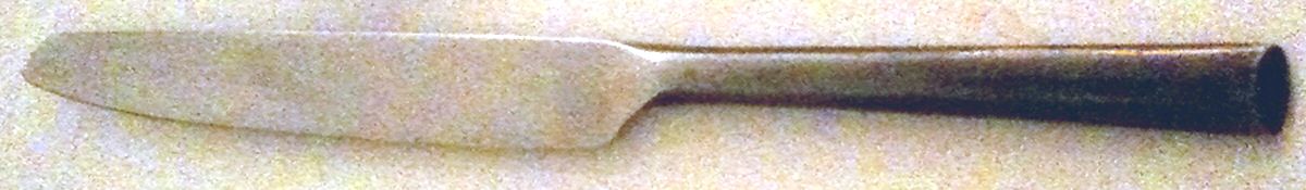 HSV157 (Stainless) Modern Hollow Knife by Hampton Silversmiths-1