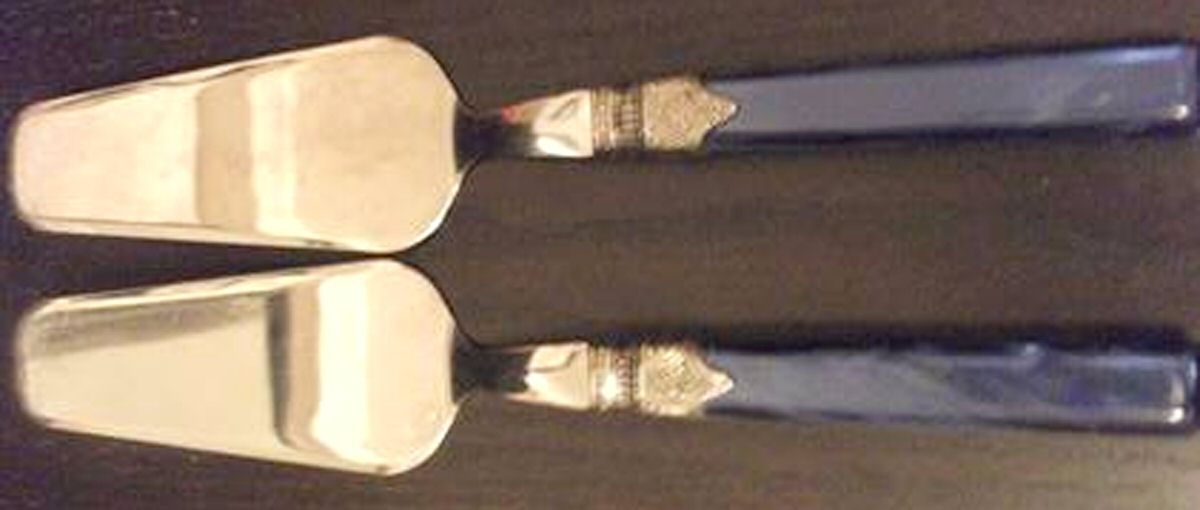 Tosca-Blue (Stainless) Pie Server with Stainless Blade by Horchow-1